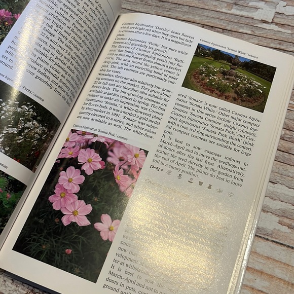 The Complete Encyclopedia Of Summerflowers - Picture 7 of 11